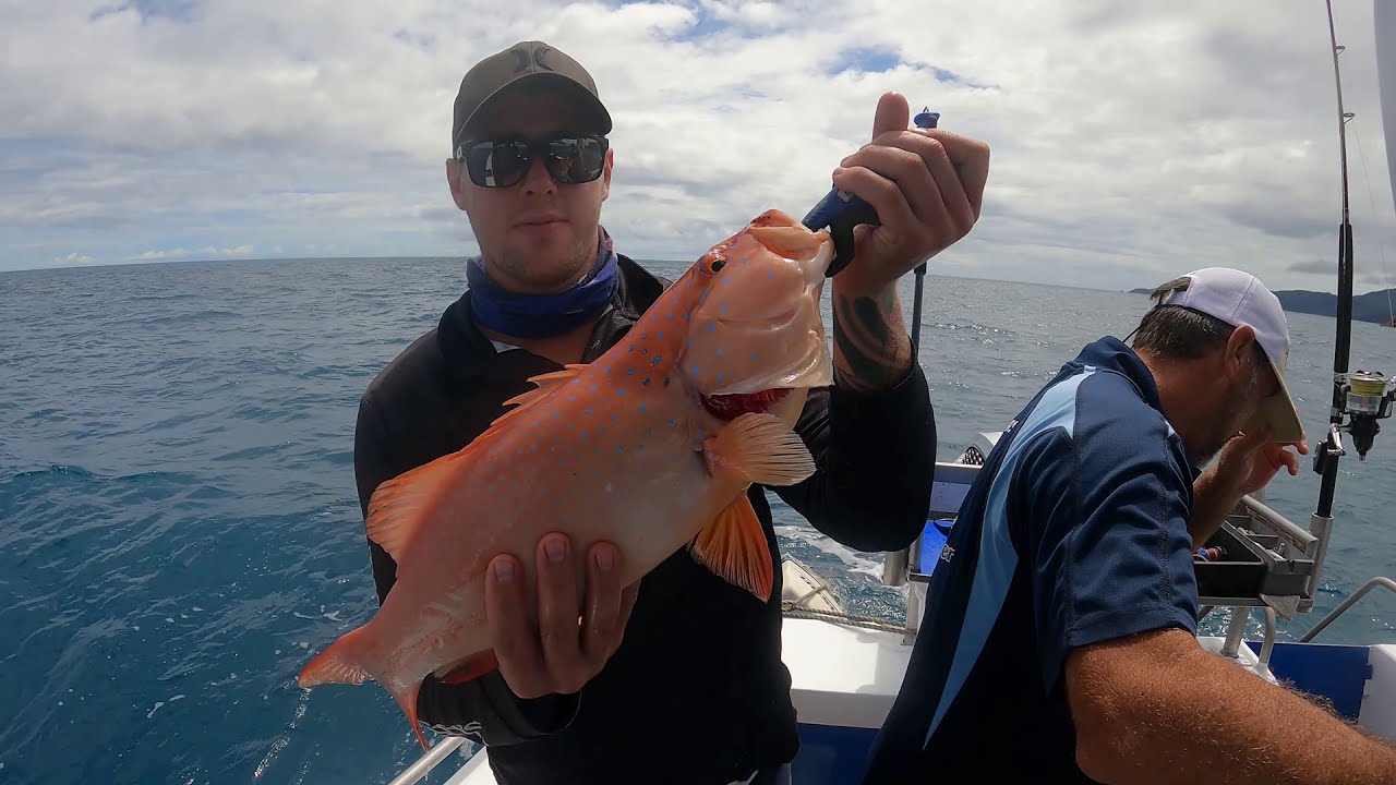Sea & Land Adventures Episode 17 Whitsundays Fishing Charters