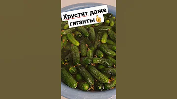 Секрет ХРУСТЯЩИХ огурцов!🥒🥒🥒