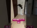 今日の壁ジャンプ(ふく)10/5 #shorts