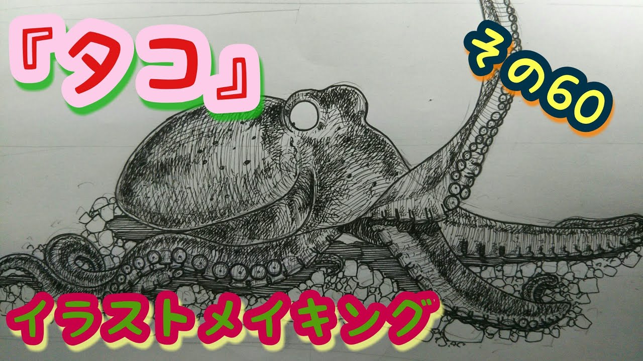 タコのイラスト描いてみた Octopus Drawing Youtube