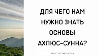 1352. Для чего нам нужно знать основы Ахлюс-Сунна? || Ринат Абу Мухаммад