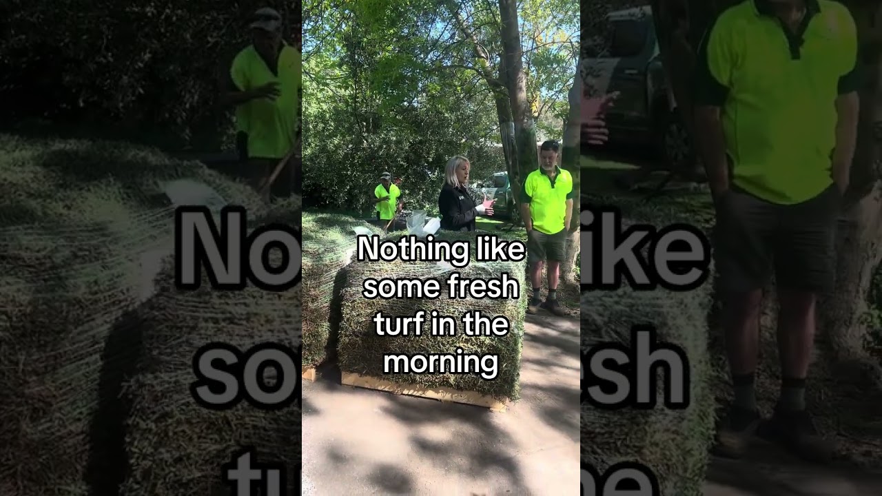 More than just mowing! #jimsmowing #lawncare #turfinstallation #turf