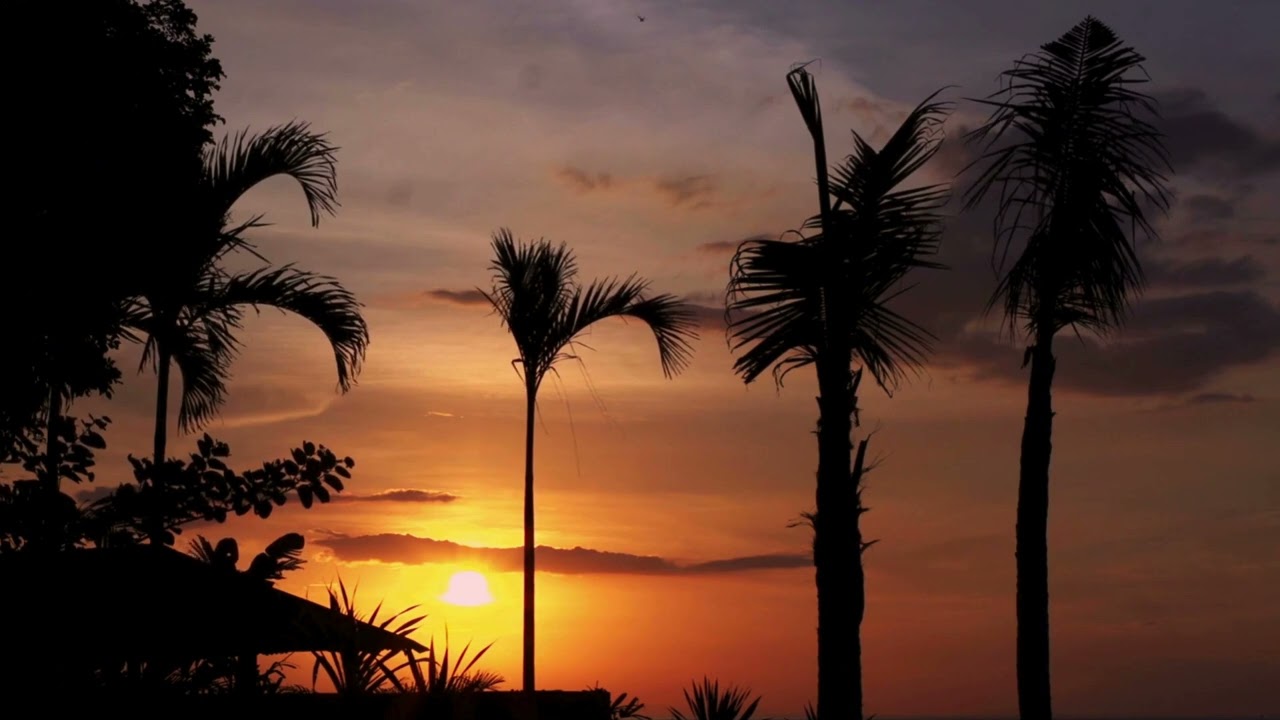 Tanpura in C (Do) a 432 Hz - Bordone musica indiana