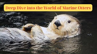 Famous Deep Dive into the World of Marine Otters...#animals #wildlife #otter Profile