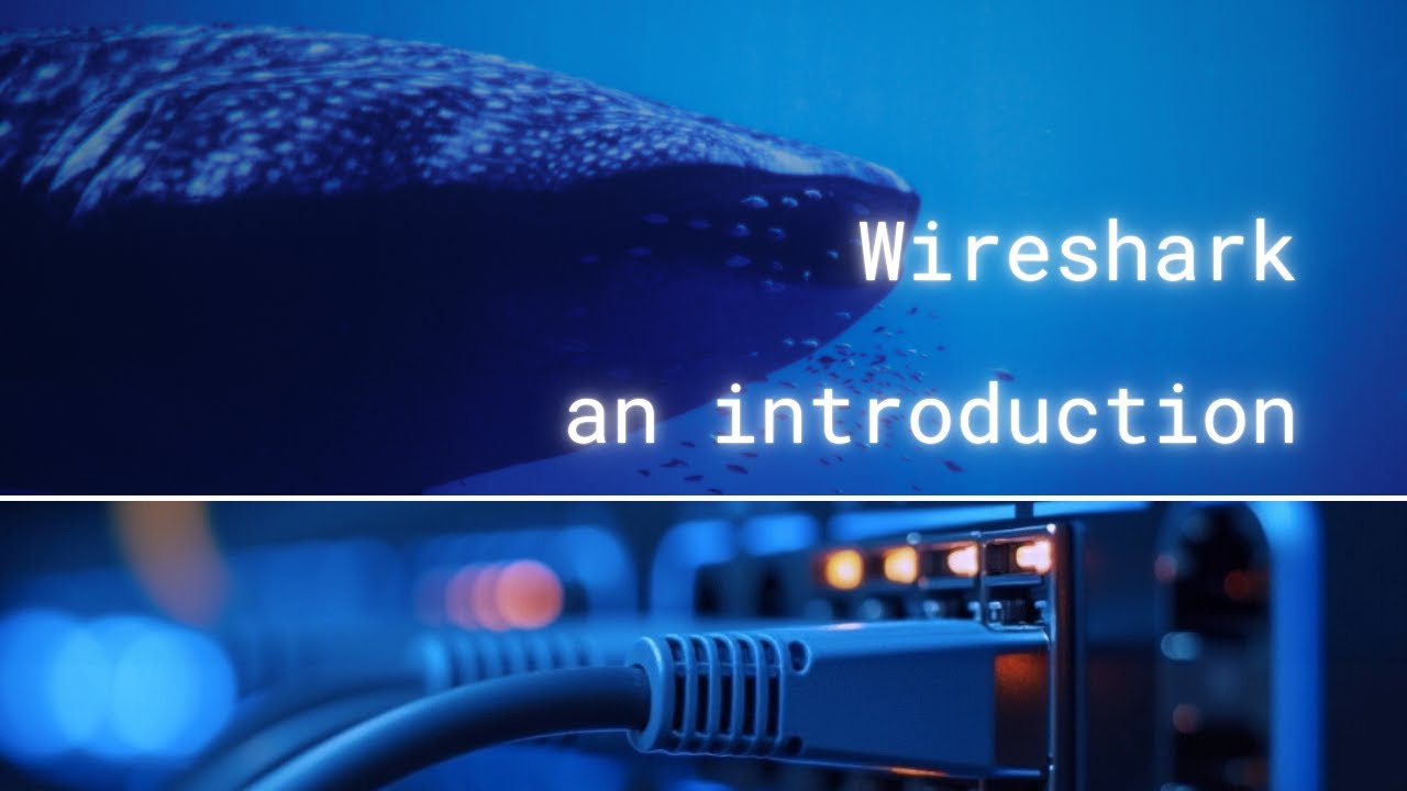 Wireshark - An Unusual Introduction | Multiple Network Realities