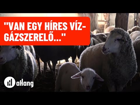 Videó: Hány A szintű üzleti vizsga van?