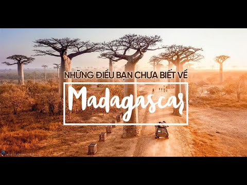 Video: Những điều Chúng Ta Chưa Biết Về Madagascar