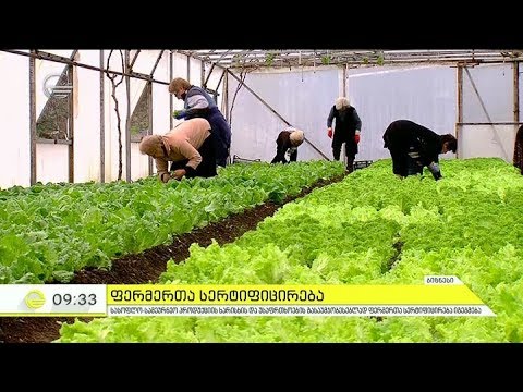 სასოფლო-სამეურნეო პროდუქციის ხარისხის გასაუმჯობესებლად ფერმერთა სერტიფიცირება იგეგმება