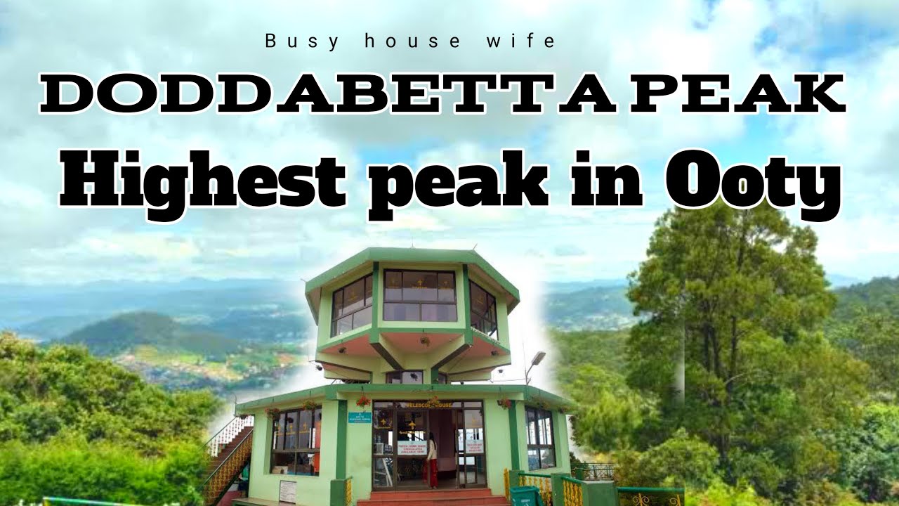 Doddabetta peak in ooty || south India లోనే 4వ పెద్ద పర్వతం || busy house wife