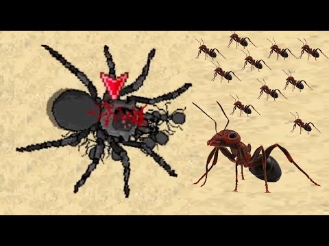 Видео: Pocket Ants Симулятор Колонии первый взгляд #2