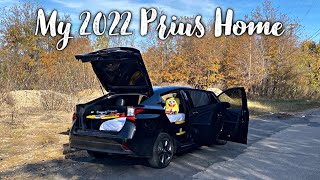 Living in My Car | My 2022 Toyota Prius Build Out | Making a Bed & Moving in #CARLIFE