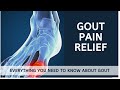Gout pain relief | Everything You Need to Know About Gout
