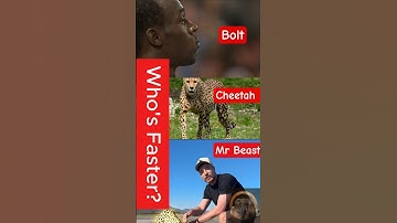 Epic race: Cheetah vs Usain Bolt vs MrBeast | Ultimate Speed Race 🏁🐆⚡#cheetah  #usainbolt #mrbeast