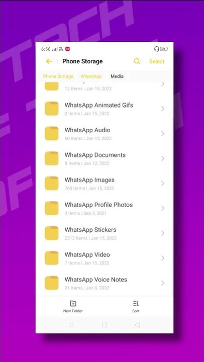 recover-whatsapp-deleted-voice-messages-brain-of-tech-shorts