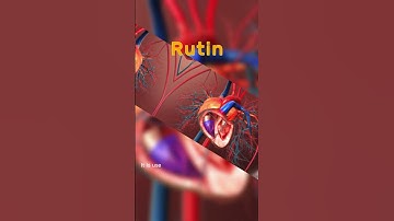 What is Rutin? |Sophora Japonica Extract Rutin Benefits