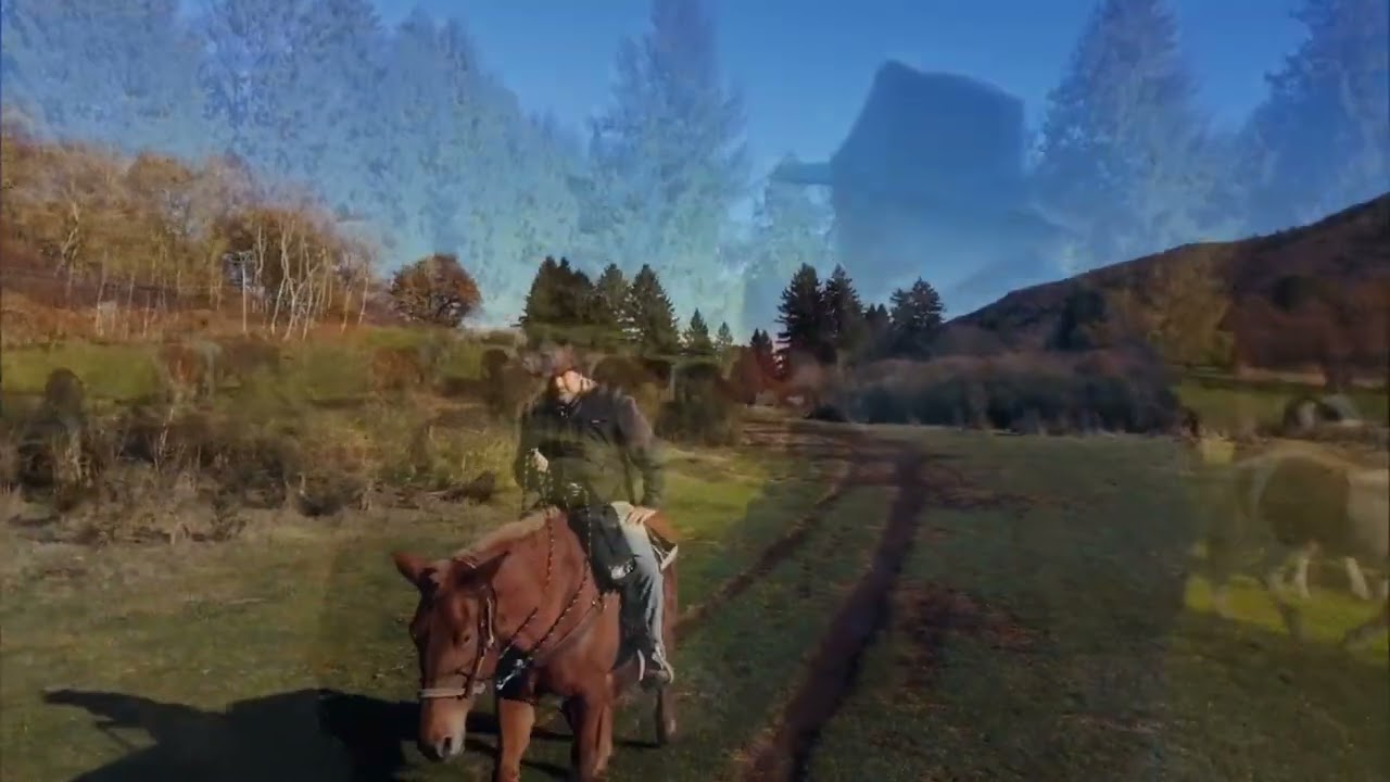 I quattro dei Pratoni del Vivaro - 23 novembre 2025