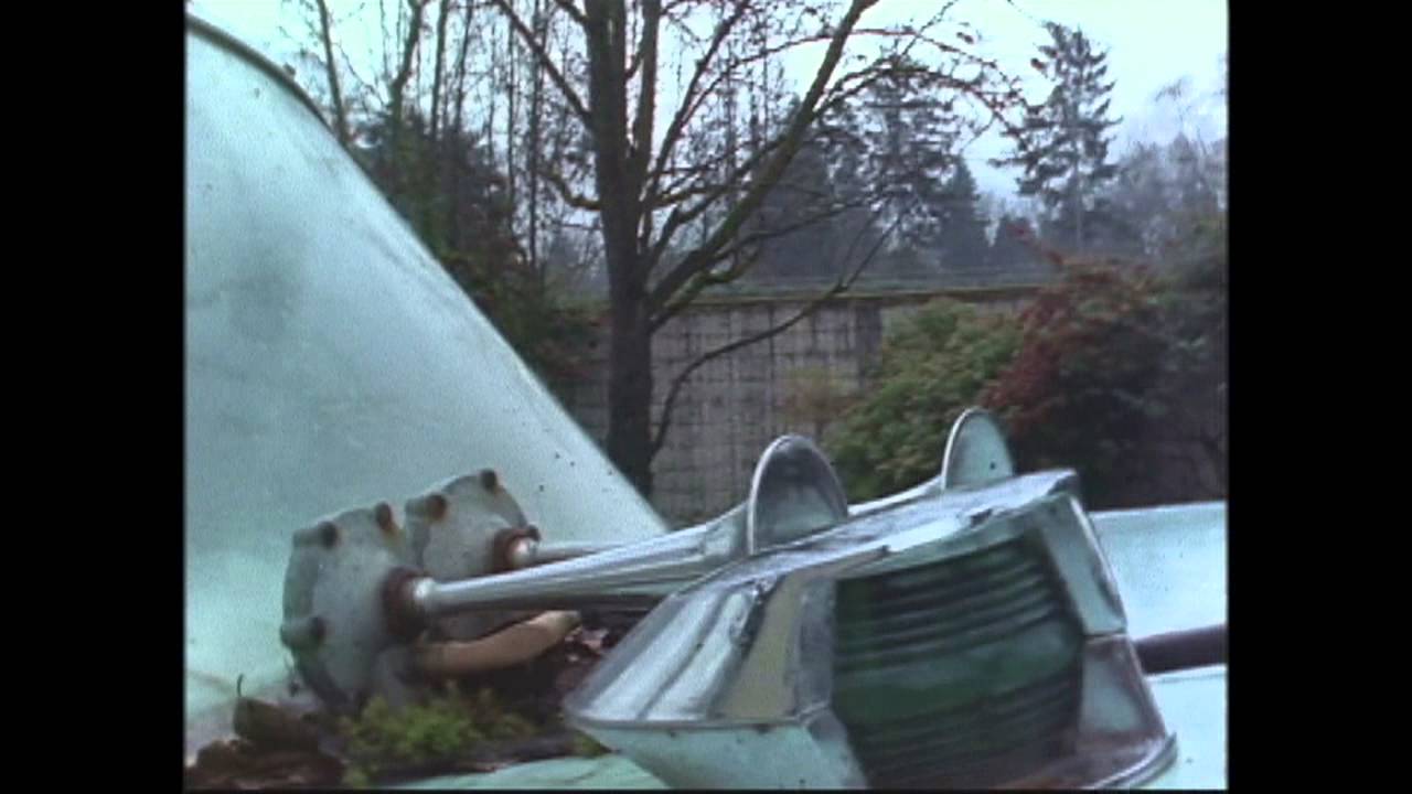 The Free by Willy Vlautin