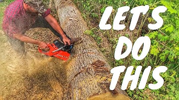 Is Full Comp better than Full Skip Chainsaw Chain? LET’S SEE!!!