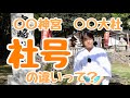 【保存版】神宮・大社・神社の違い(3つで整理)