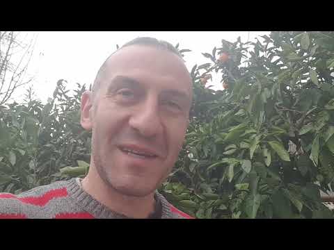 ვის რა ანიჭებს და ხდის ბედნიერს, მე მაგალითად კომპანიის აქციების შეფასება   #ზურაბაბუაშვილი