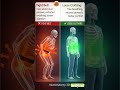 Tight Belt ❌ Loose Clothing ✅ | Digestion &amp; Breathing Effects