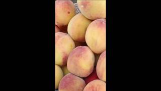 Fruit &amp; Vegetable Rates Update – Monday, 04 May 2026 | Latest Market Prices