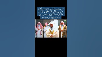 تلاوة خاشعة ياسر الدوسري #ياسر_الدوسري #تلاوة_خاشعة #تلاوات #قران_كريم #quran #قرآن #fy #fyp#quran