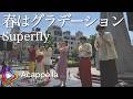 【春はグラデーション / Superfly】といぷーどる。(アカペラ)