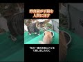 子猫を託す野良猫は多いけど、こんなに「切なすぎる」ケースは初めて見た！