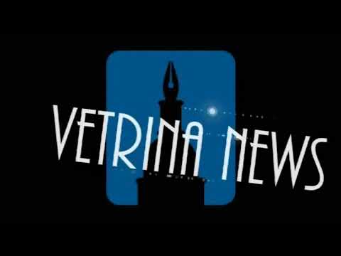 Vetrina News: il nuovo tg on line di Buongiornonovara