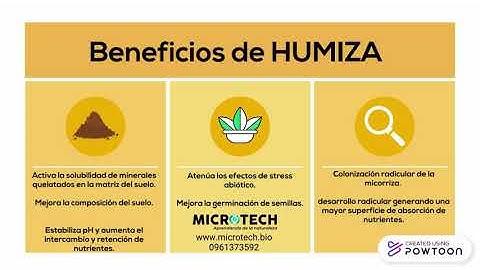 Producto Humiza.