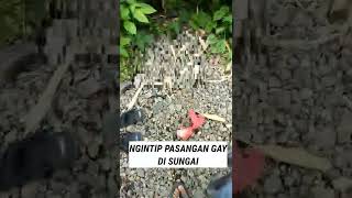 PASANGAN GAY