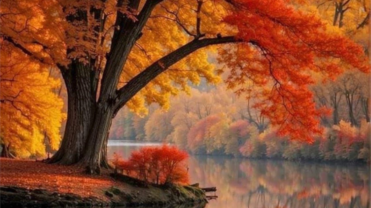 St. Jacob Tsalikis of Greece (+1991) appeared to young people & spoke to them about Holy Confession