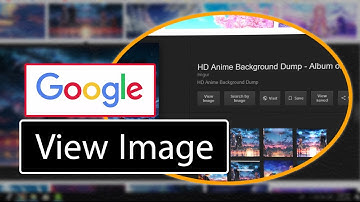 How to Bring Back View Image Button on Google Image