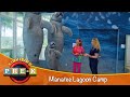 Manatee Lagoon Camp | Virtual Field Trip | KidVision Pre-K