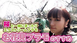 桜を見ながらエクストリームプラモ！SDクシャトリヤでお花見プラモのすすめ！