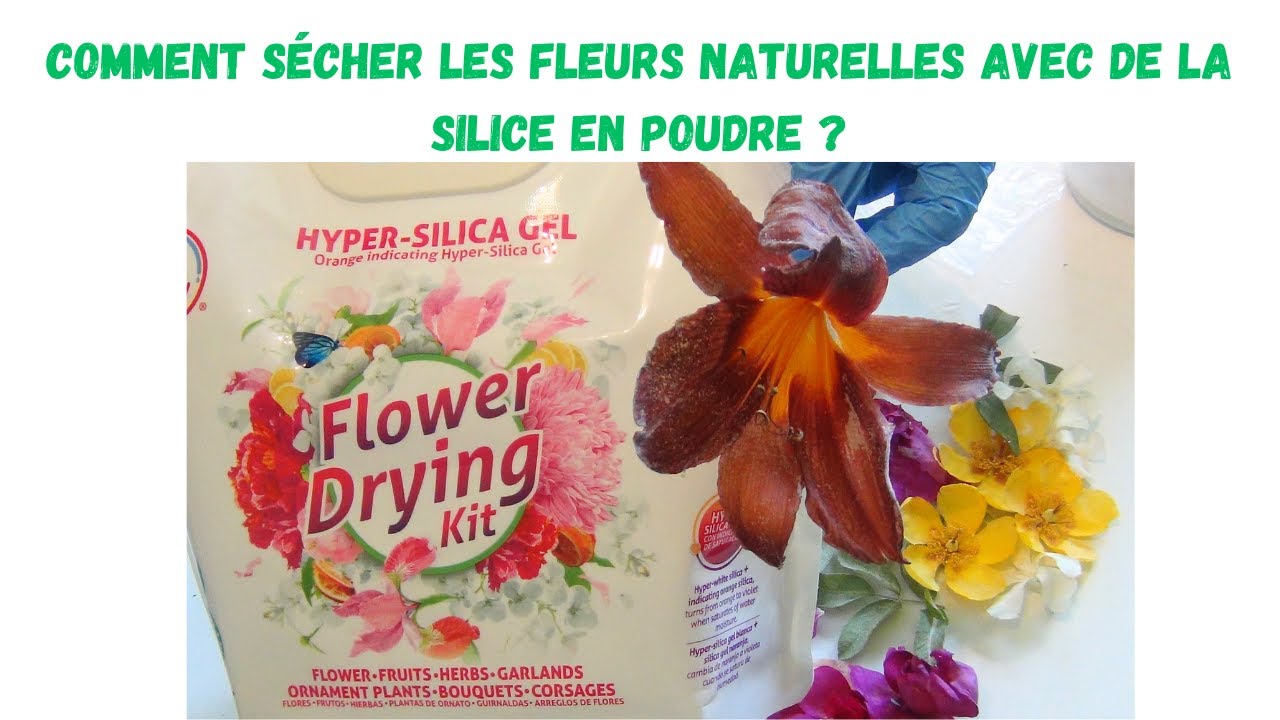 7,5 Lbs (environ 3,4 Kg) De Perles Dessiccantes En Gel De Silice Blanche - Rechargeable, Sûre Et Efficace