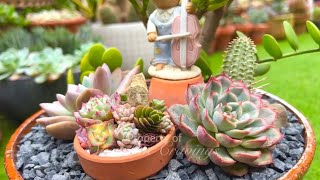 Succulents and Figurine Arrangement by SUCCULENT CRAVINGS by Vic Villacorta 188 views 6 hours ago 9 minutes, 55 seconds