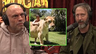 The Crazy World Of Hybrid Animals | Joe Rogan \& Tom Green