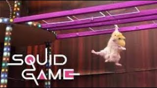 Squid Game vs Hamsterious All Amazingg Challengess Squid Game vs Hamsterious All Amazingg Challengess