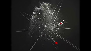 Mesmerizing Particle Burst Animation in Three.js #web