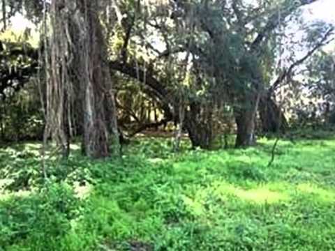 5666 S Florida Ave, Floral City, FL home video tour