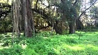 5666 S Florida Ave video tour