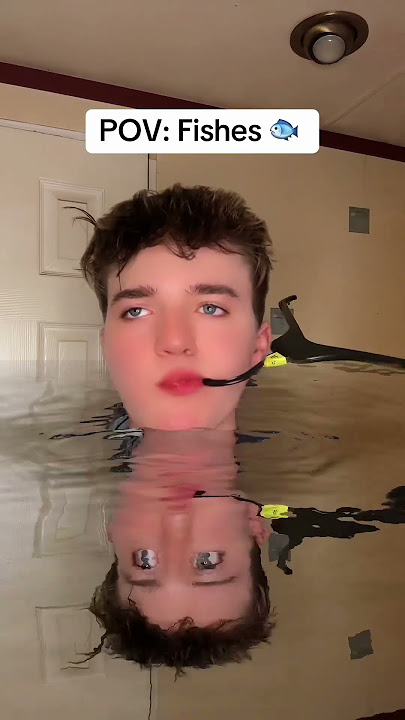POV: Fishes.
