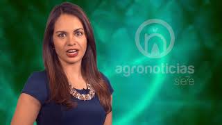 AGRONOTICIAS sie7e PROGRAMA 80