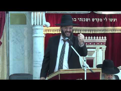 דרך ברורה | הרב מיכאל מזוז