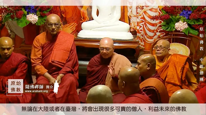 中道僧團法師介紹  隨佛禪師 (Ven. Vūpasama Thera) - 天天要聞