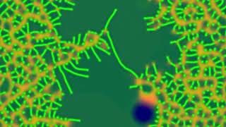 reaction diffusion experiment pr test 08 prs 152   soft mesh sharp spots