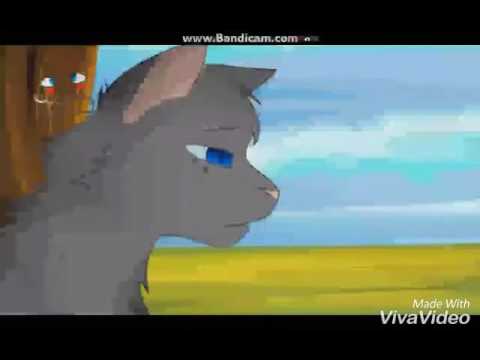картинки коты-воители кровоцапка онлайн картинки коты-воители кровоцапка