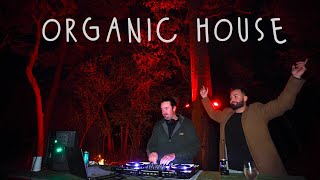 Deep Organic House Forest Mix // Hermanez, Kyotto, PROFF & more!